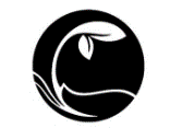 29類(lèi)食品魚(yú)肉